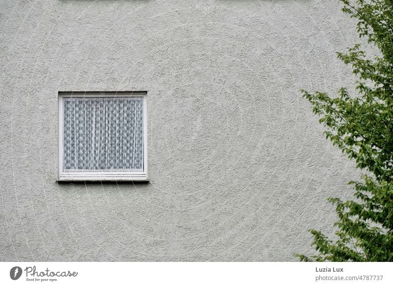 Part of a house facade, a window with lace curtain, green branches on the right edge Facade house wall house wall window Window Old fashioned Curtain White