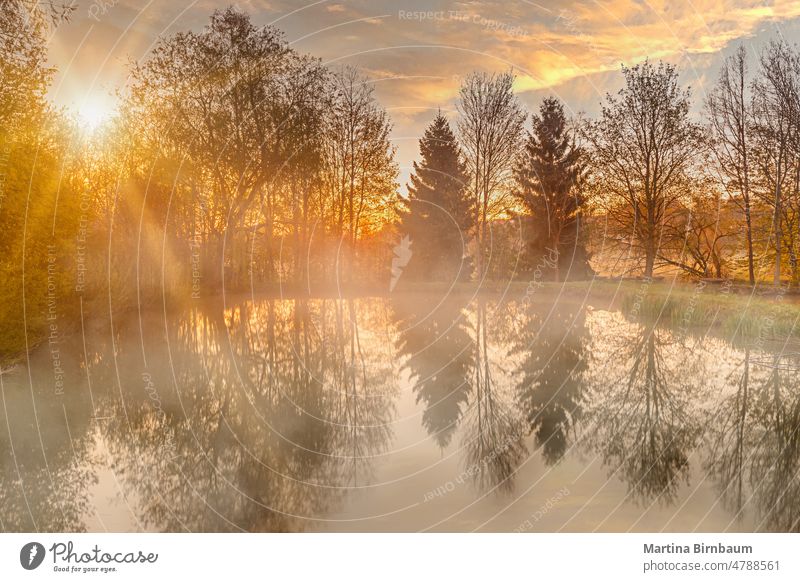 Sunrise over a pond in Bavaria with rising mist bavaria fog landscape colorful lake dawn morning nature foggy sunrise water season trees rays light daylight