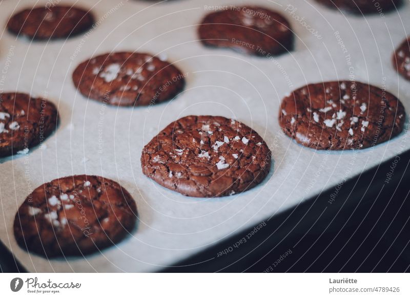 Chocolate cookies with chunks of sea salt chocolate sweet dessert brown delicious snack white tasty dark sugar sweets closeup candy baked coffee meal natural