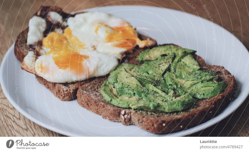 Egg and avocado on toast Food Breakfast Bread Avocado No People Healthy Eating Meal Snack Toasted Bread Sandwich Lunch Plate Freshness Egg Yolk Vegetable