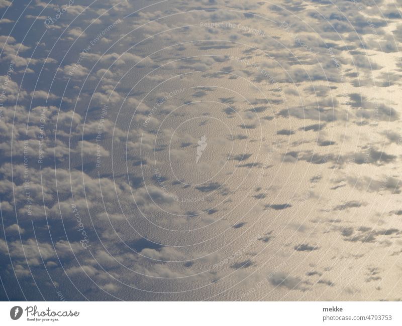 Golden ocean with small clouds Clouds Ocean Water Waves Vacation & Travel Tourism Nature Far-off places Wanderlust Airplane Aerial photograph cumulus Sunglint