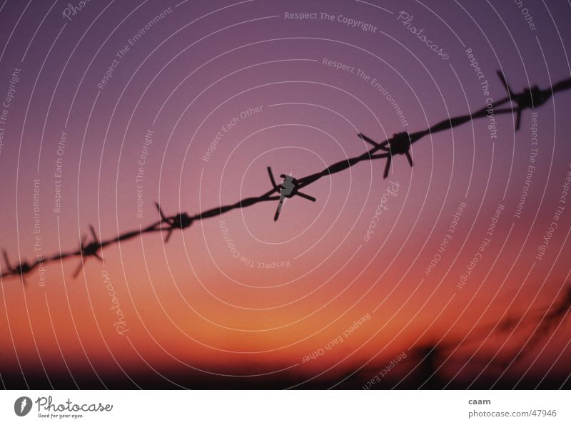 barbed wire Barbed wire Sunset Dusk