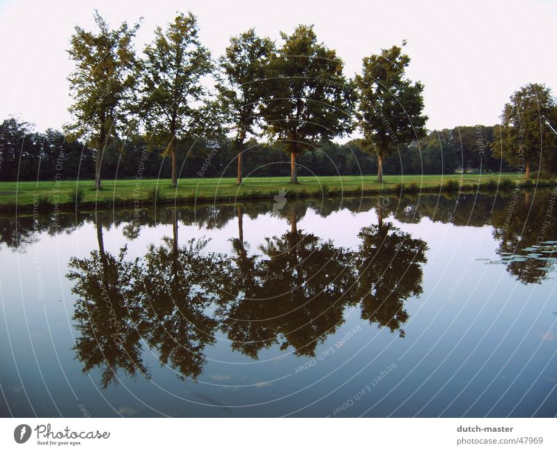 Part 2 NL 04 Tree Reflection Mirror Photography Summer Netherlands Lake Brook Water mirror image River inversely Sky Nature