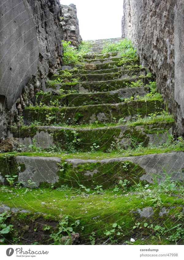 green mile Building Ruin Grass Masonry Green Stairs Old Moss