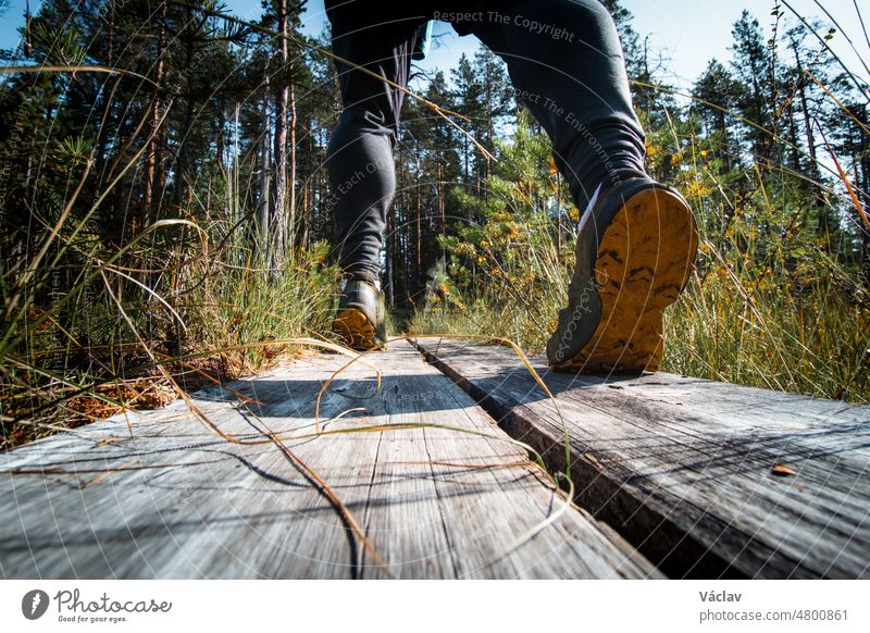View of the calves of a grown man walking through the forest on a duckboard in Hiidenportti national park, Sotkamo, kainuu region in Finland. Active lifestyle. Breath of fresh air and feeling of calm