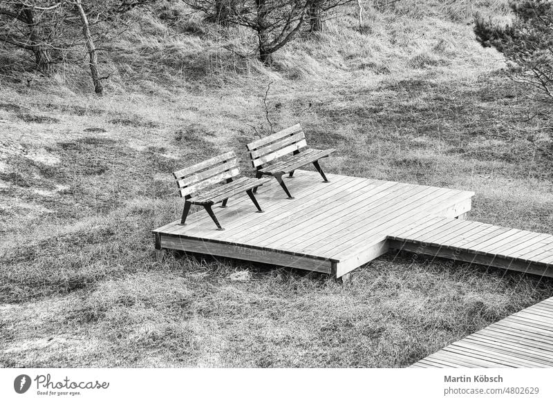 Wooden walkway in black and white with bench at high dune on darss. National Park footbridge footpath Baltic Sea sea sand beach sky Darrs Zingst lookout