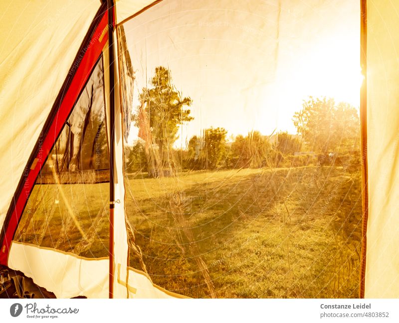 View in the morning from the camping tent towards the sun Camping Tent Nature Summer Adventure Exterior shot Vacation & Travel Light Relaxation