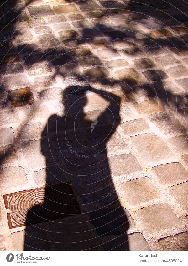 There is a self portrait as a silhouette on the wall. Light shadow person tree manhole cover gingerbread morning sun peaceful quiet silence bright dark bench