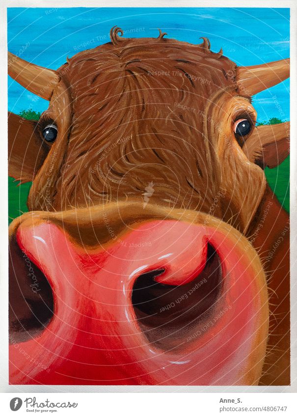 Curious brown cow in a pasture looking at the camera. Farm animals Meat Vegan diet Animal portrait Vegetarian diet Cow Cattle vegetarian vegan Agriculture