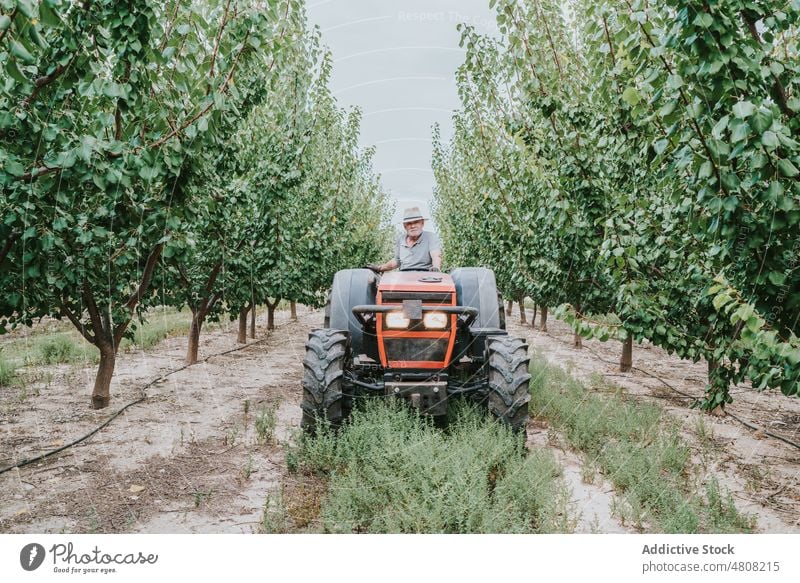 Elderly man driving tractor on farm drive orchard farmer summer tree agriculture work countryside male elderly senior aged plantation rural cultivate fruit