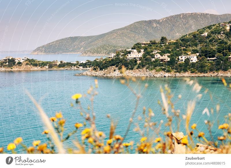 View of a bay in Sardinia, hills, white villas and trees, yellow flowers Bay Villas Ocean Mediterranean sea Hill Island Blue Yellow bank coast Water