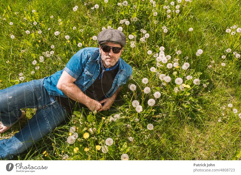 Senior man with slouchy cap and sunglasses lies on meadow full of dandelions Man Senior citizen summer meadow Dandelion jeans Neckerchief Sunglasses Meadow