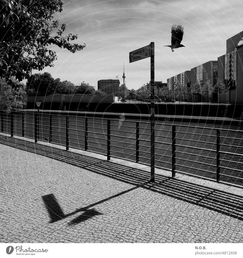 Government quarter crow shadow SW Black & white photo White black-and-white Black and white photography black and white in color government quarter Berlin