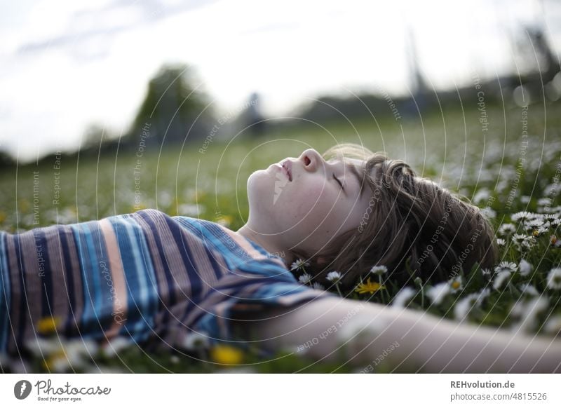 Child lying on a meadow happy child Boy (child) naturally 3 - 8 years Infancy Exterior shot Head portrait Human being Hair and hairstyles Lie To enjoy Authentic