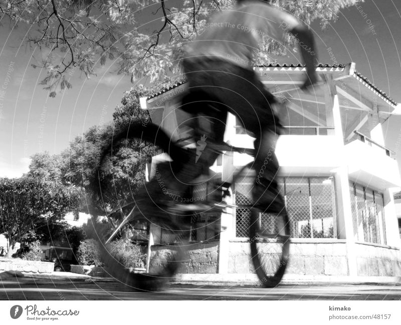 biker Child Sky Bicycle Kid (Goat) Places Tree place Black & white photo Mexico kimako Black and white