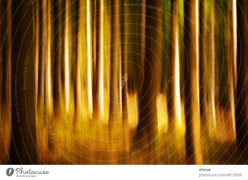 Drawing photo / long exposure of a forest in different shades of brown / forest design / abstraction / tree trunk Forest Draw photo Long exposure Brown tones