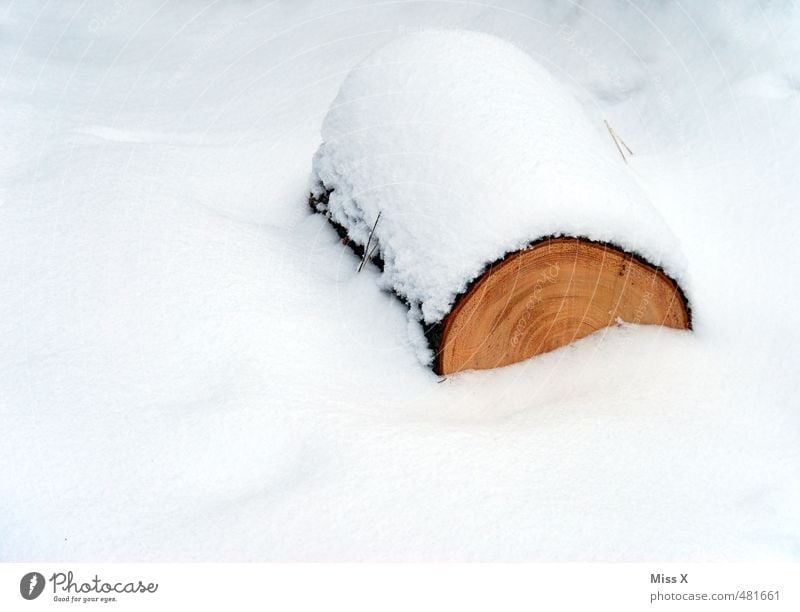 blizzard Winter Snow Snowfall Wood Cold Tree trunk Firewood Tree felling Forestry Annual ring Snow layer Winter forest Colour photo Exterior shot Deserted