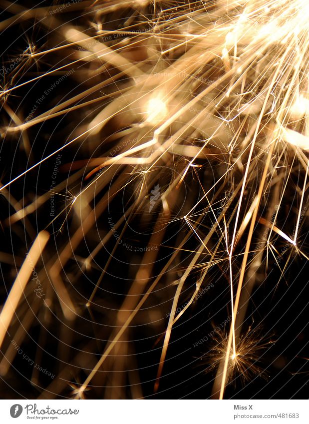 New Year's Eve Feasts & Celebrations Glittering Sparkler Firecracker New Year's Party Explosion Star (Symbol) Gold Colour photo Close-up Deserted