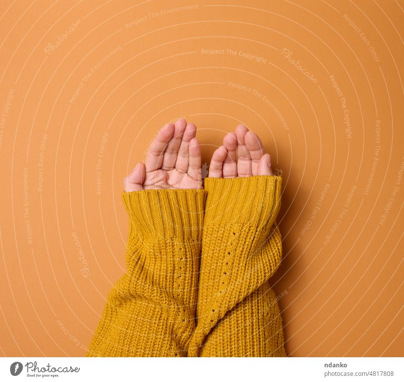 two female hands folded palm to palm on an orange background, top view adult arm body caucasian cupped empty finger gesture give giving help hold human nothing