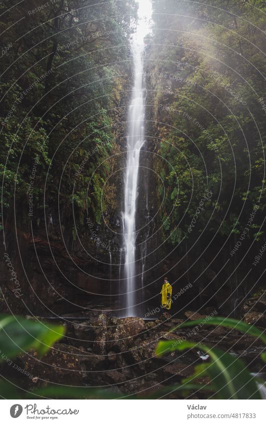In rainy weather, the majestic and well-known 25fontes waterfall rises in the mist and rain on the island of Madeira, Portugal. Discovering magical places in Europe. Man enjoys view