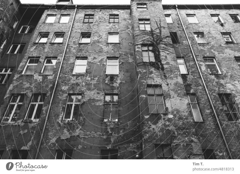 Backyard Berlin in Black White Prenzlauer Berg Interior courtyard Town Deserted Old building House (Residential Structure) Downtown Capital city Day Courtyard