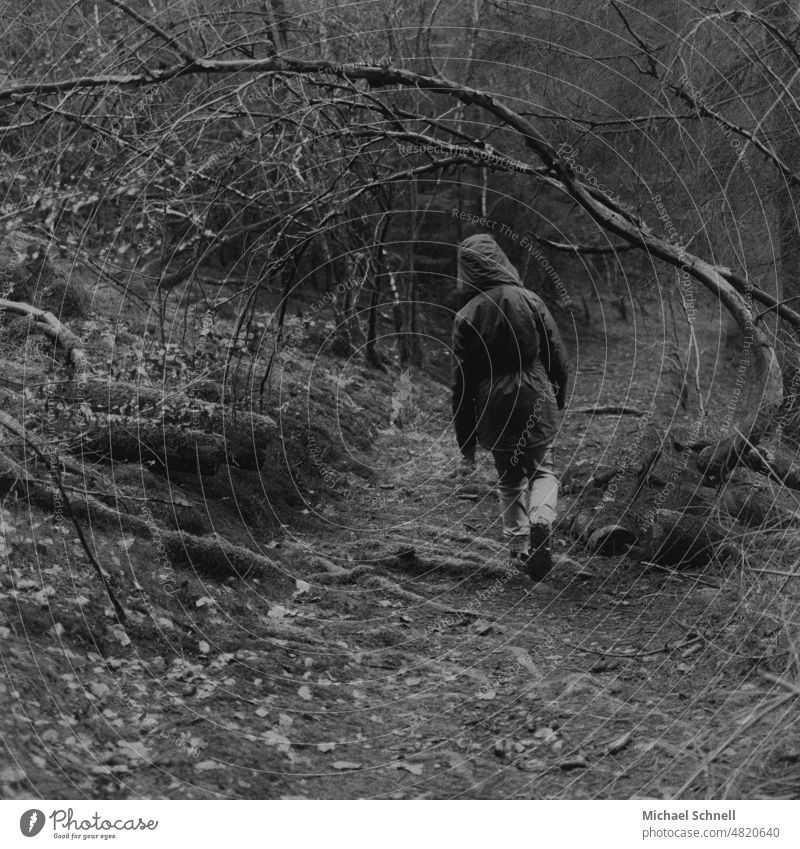 Boy running through the forest forest path Forest trails Boy (child) trees To go for a walk Hiking Lanes & trails Calm Loneliness on one's own lonelier away