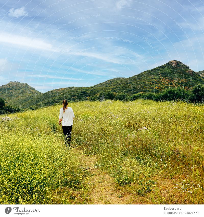 Woman in back view stands on a dirt road in yellow sea of flowers in front of a hill range off the beaten track Yellow Broom Hill chain of hills look Hiking