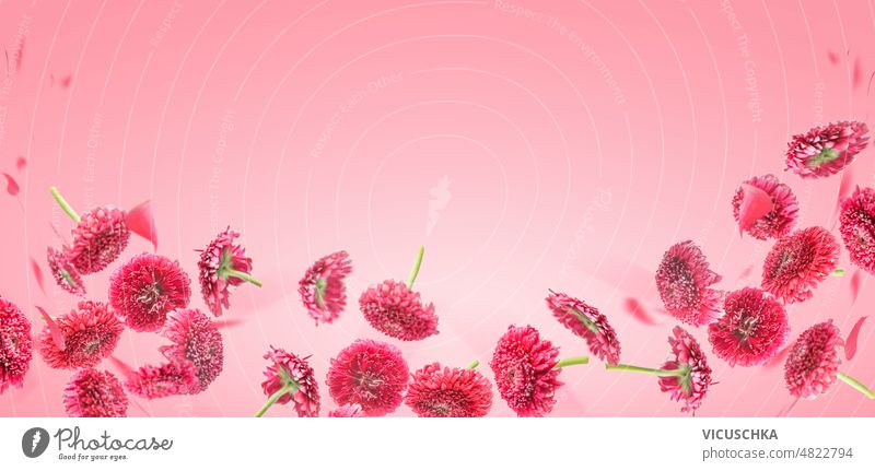Pink floral background Royalty Free Vector Image