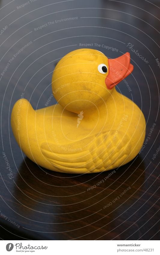 Quit duckling Squeak duck Bathtub Yellow Toys Duck Swimming & Bathing Orange