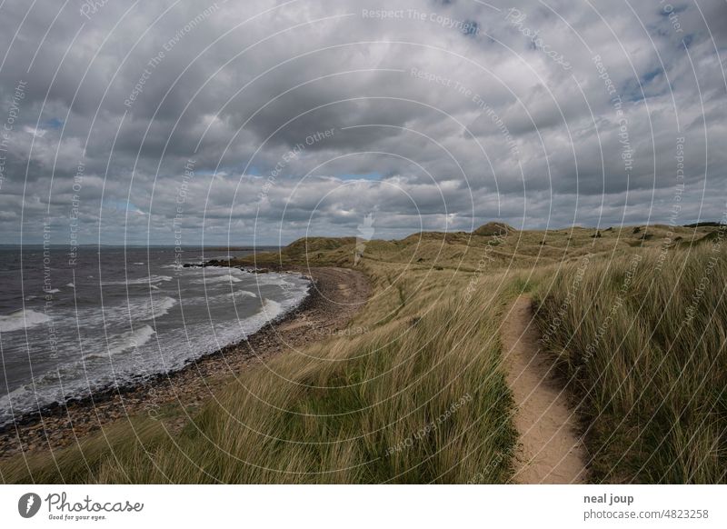 Coastal path through dune grass under stormy cloudy sky Landscape coast Ocean North Sea dunes Marram grass Coastal Path Sky Vacation & Travel Exterior shot
