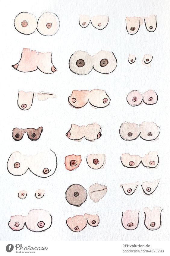 Illustration of different breasts - a Royalty Free Stock Photo from  Photocase
