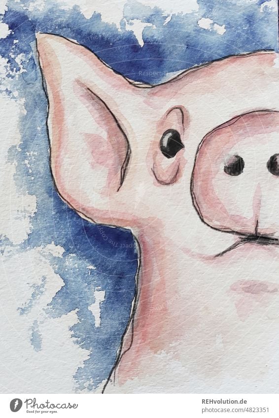 pig Swine Watercolors Drawing Animal portrait Farm animal Nature Agriculture Curiosity Happy Pink Face Snout Blue naturally Cute Painted Art