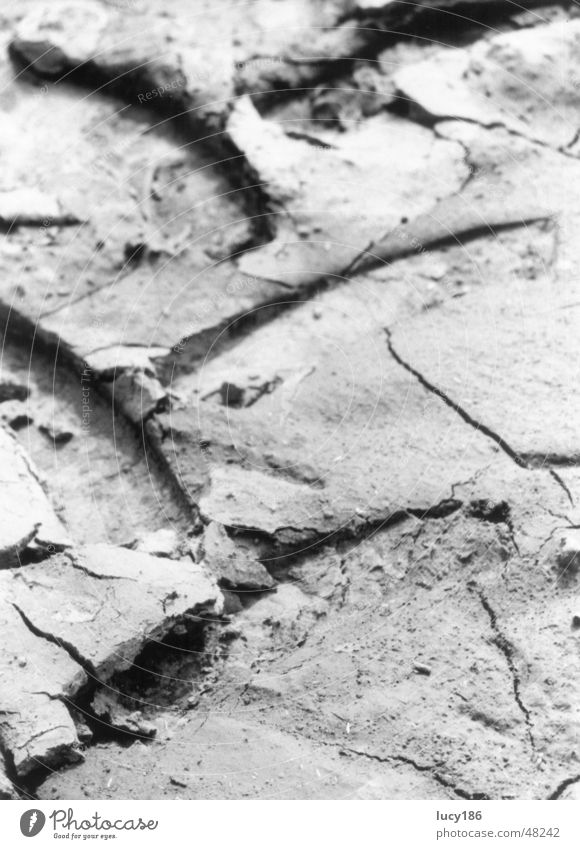 tracks Dry Crack & Rip & Tear Footprint Exterior shot Earth Tracks Tire tread Close-up Tractor track