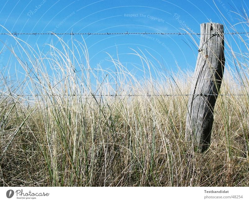 Fence in the dunes Fence post Barbed wire Wood Beach Close-up Blue sky Beautiful weather Beach dune Old Landscape