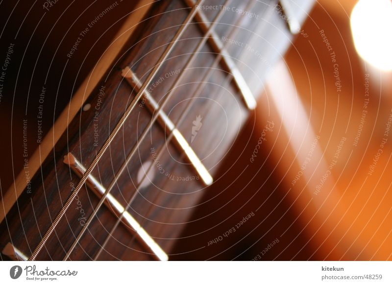 Richy Guitar Musical instrument string Reggae Neck Blur blurry EOS Rock music Punk