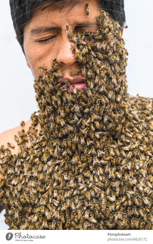 Man's face covered by bees. man swarm queen head honey insect green grass venom stinger pheromone mellifera person hymenoptera many apis human colony bite back