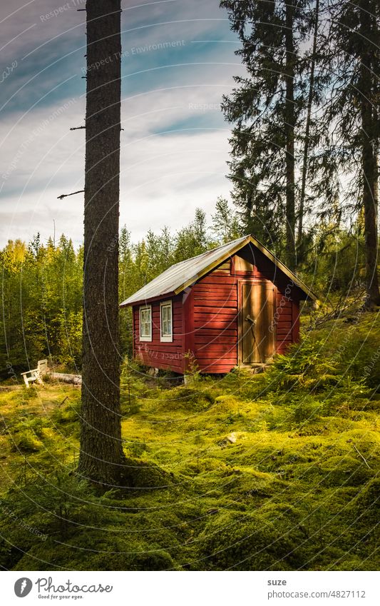 N' house stop Vacation & Travel House (Residential Structure) Environment Nature Tree Meadow Authentic Green Red Moody Loneliness Idyll Forest Swede