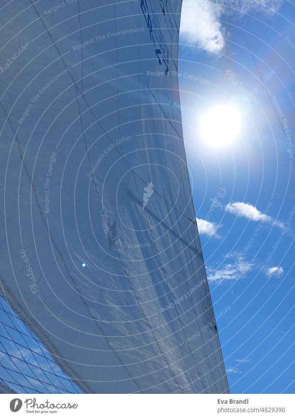 set sail with blue sky and bright sun Sail canvas Sun Sky little cloud Blue Wind wind power Light White Sailing Sailboat Water Freedom Adventure holidays