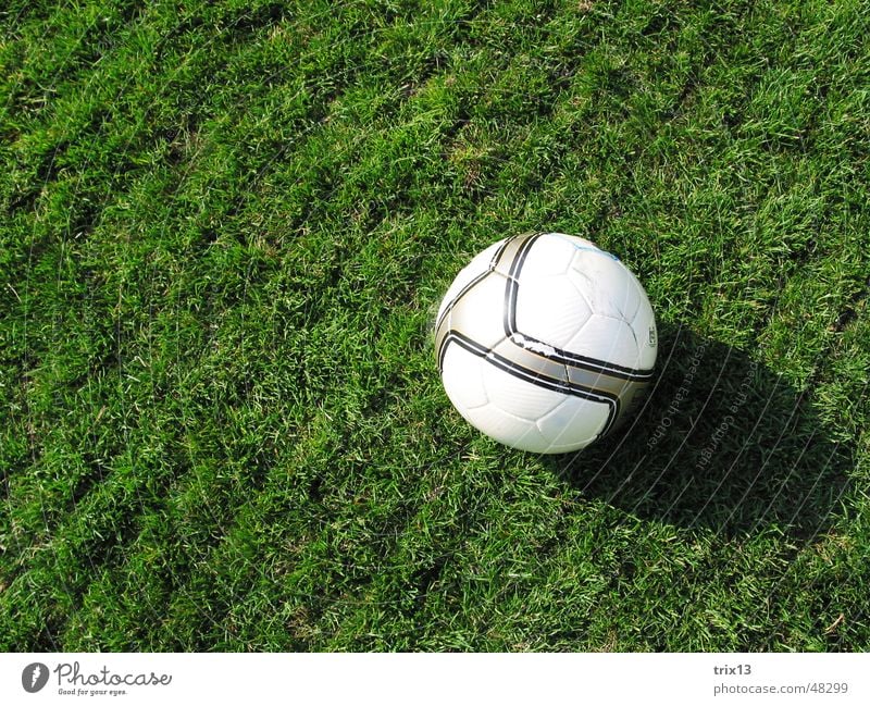 soccer Football pitch Meadow Round Line Green Striped White Soccer Lawn Ball Shadow Floor covering Sports Calm Crazy