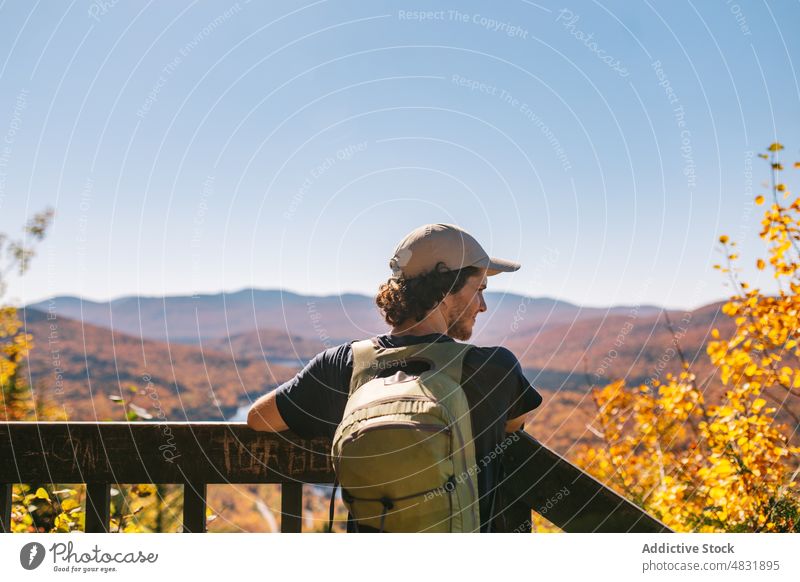 Male traveler standing on wooden footbridge in mountainous valley man forest tranquil walkway sightseeing autumn tourist woods male natural landscape fall