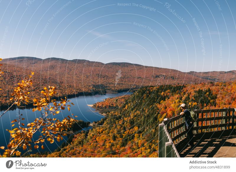 Male traveler standing looking binoculars on wooden footbridge in mountainous valley man forest tranquil walkway sightseeing autumn tourist woods male natural