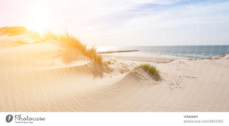 Beautiful sand dunes on the North Sea coast in Renesse, Zeeland, Holland domburg netherlands zeeland holland dutch europe sylt sea beach holidays tide water