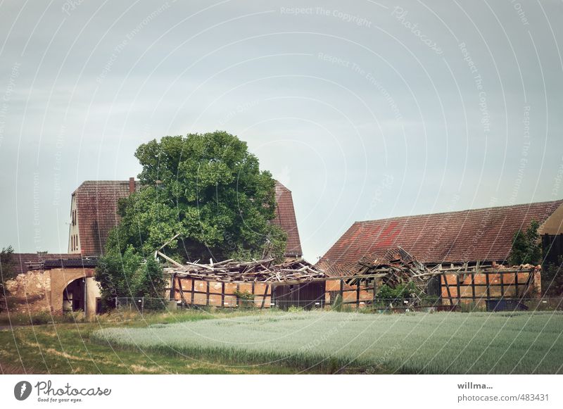 imaginatively Ruin Building Half-timbered house Tree Field Village House (Residential Structure) Manmade structures Roof Historic Broken Decline Transience