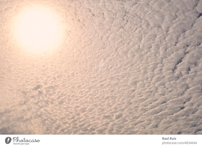 Blue sky full of white clouds, sunny day color image environment outside blue sky negative space vertical nobody environmental future copy space possibility