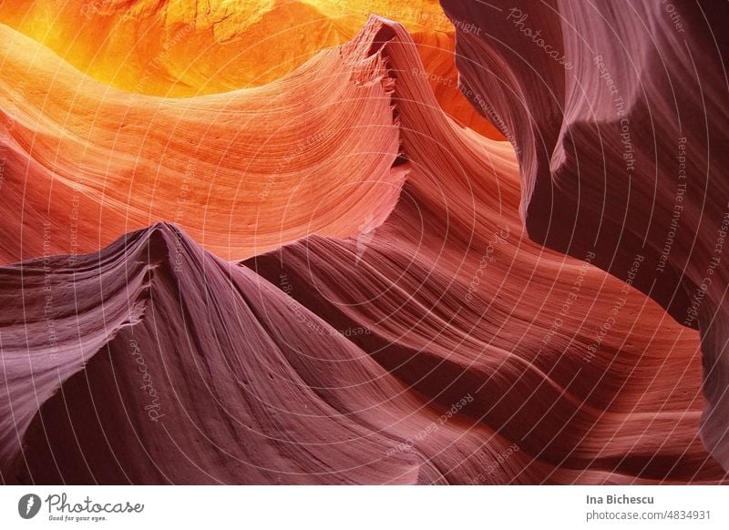 Detail of the interior of Antelope Canyon, USA. detail Rock Stone Colour Red tones Americas Sand Tourism Visual spectacle Cave Cervice National Park