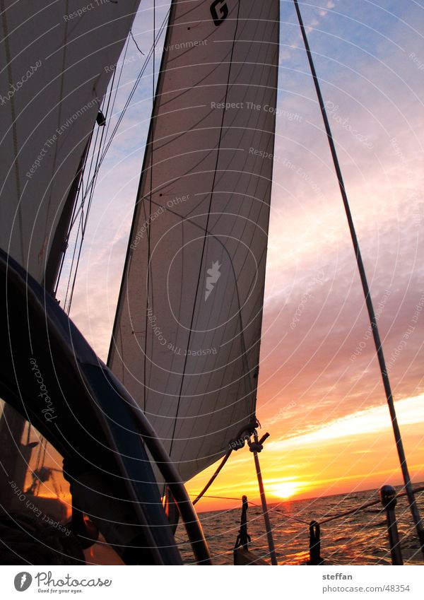 sail at night Sailing Ocean Ijsselmeer Netherlands Evening sun Sky Sports Sun