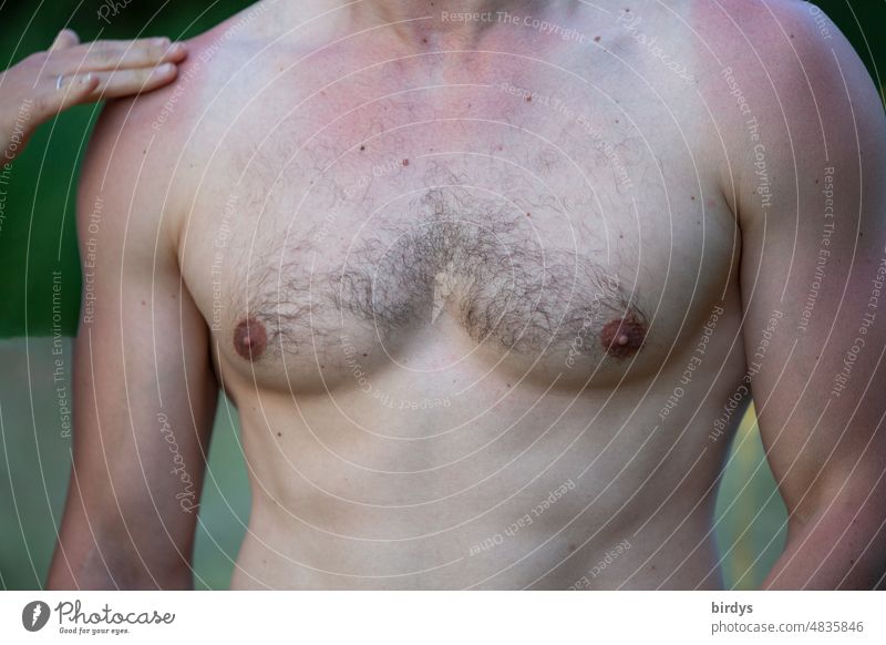 athletic male upper body with sunburn. Touch by woman hand Sunburn male. attractive Chest Hairy chest Masculine Naked Muscular Young man Women`s hand contact