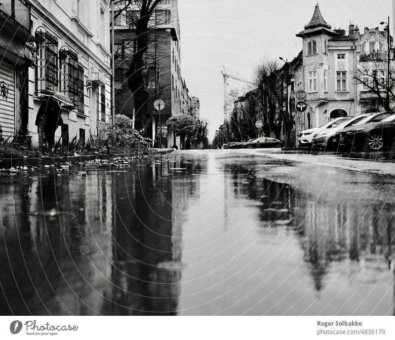 A rainy day in the streets backlight autumn pedestrians Black and white Light Shadow White Contrast Street Reflective Wet Umbrella Rainy streets Flooding Water