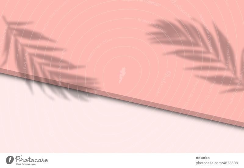 Pink background with a shadow from a palm leaf for the demonstration of cosmetics, products. Promotion and advertising pink above abstract blank clean