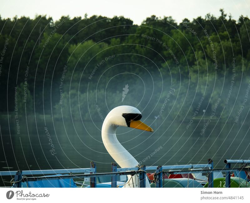 Pedal boat Pedalo swimming ponds Vacation & Travel Swan Fog Tourism Summer Leisure and hobbies Lake Attraction Relaxation Trip Watercraft Closing time